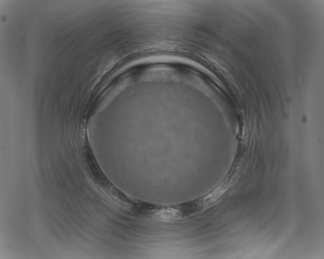 X0000070190168200605261206