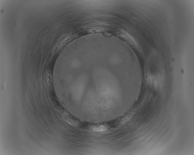 X0000070190169200605261206