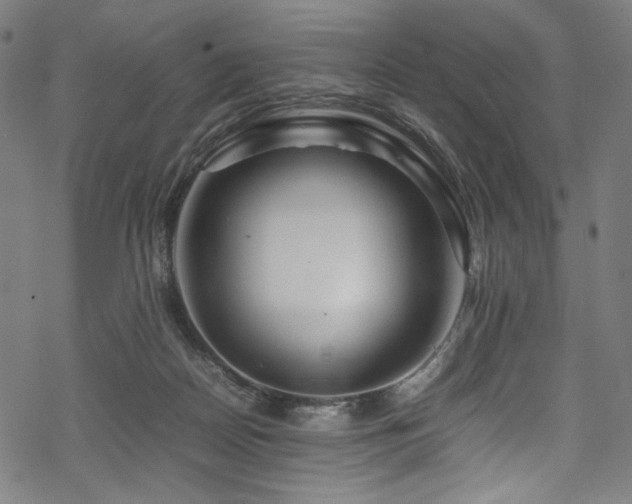 X0000070190170200605261206