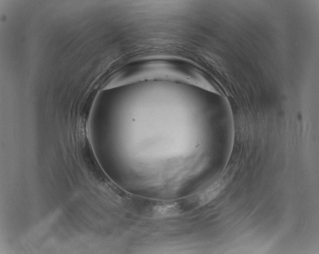 X0000070190172200605261206