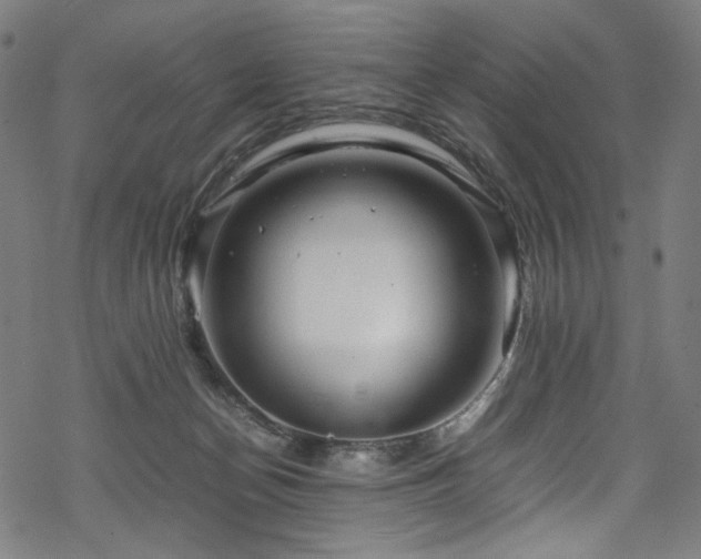 X0000070190174200605261206