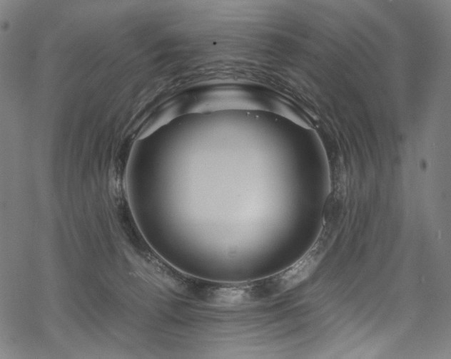 X0000070190176200605261207