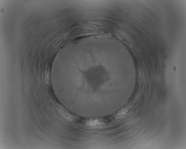 X0000070190177200605261207