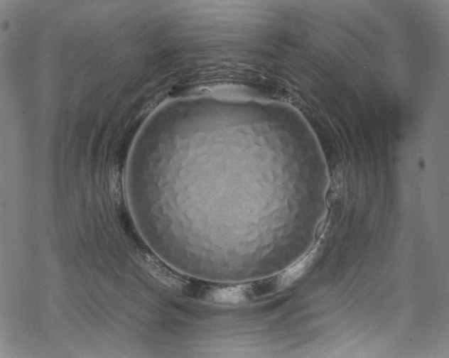 X0000070190178200605261207