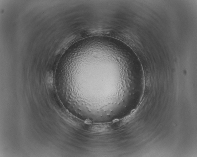 X0000070190179200605261207