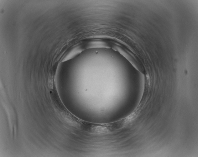 X0000070190180200605261207