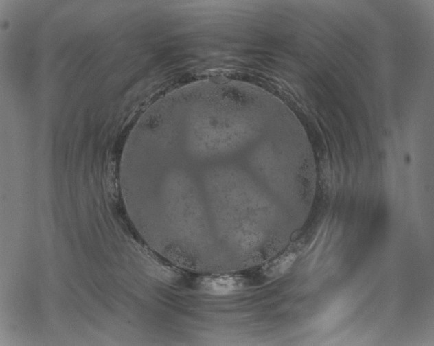 X0000070190181200605261207