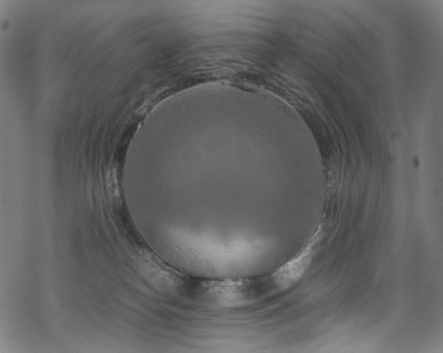 X0000070190182200605261207