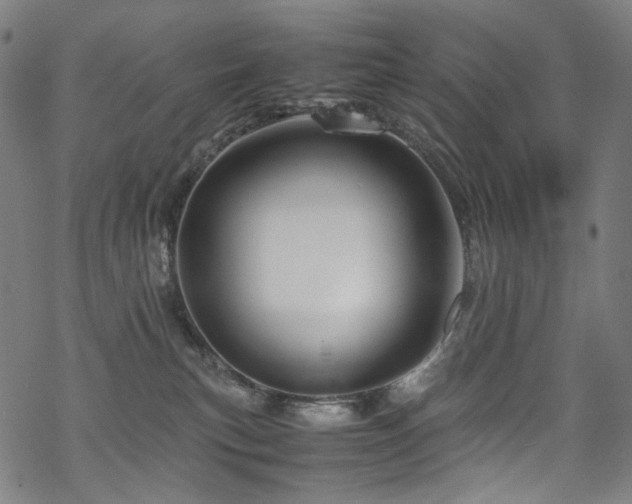 X0000070190183200605261207