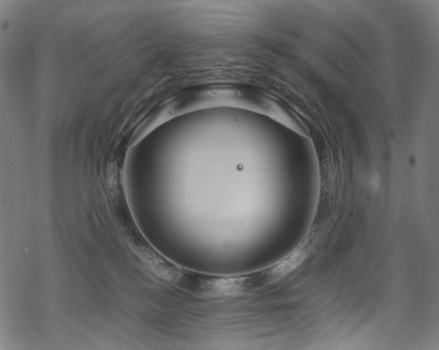 X0000070190184200605261207