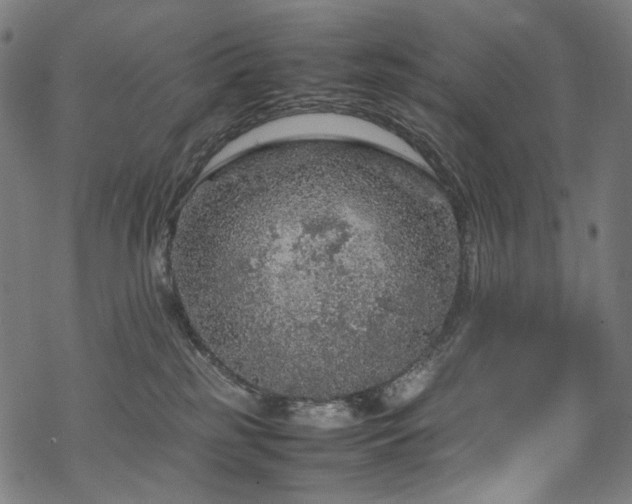 X0000070190185200605261207