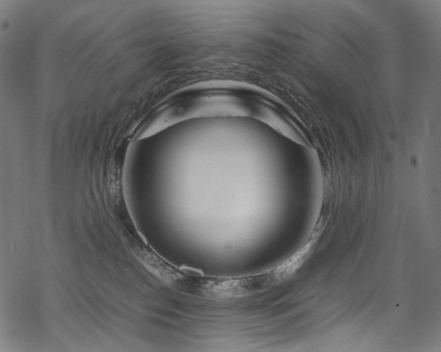 X0000070190186200605261207