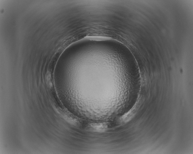 X0000070190187200605261207