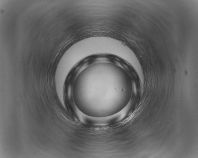 X0000070190188200605261207