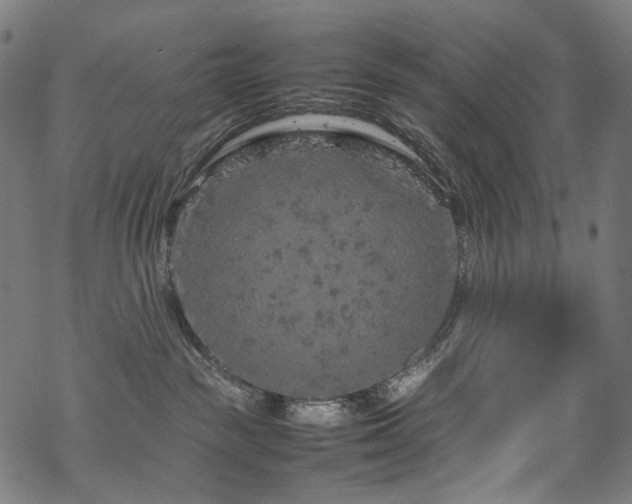 X0000070190189200605261207