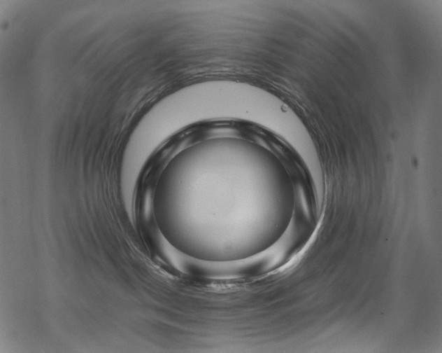 X0000070190190200605261207