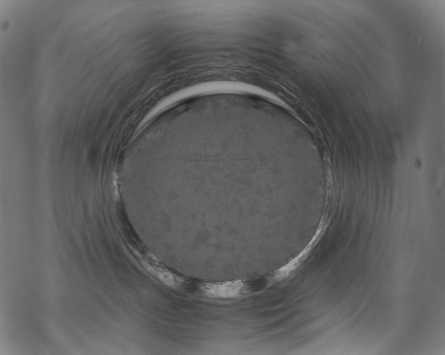 X0000070190191200605261207