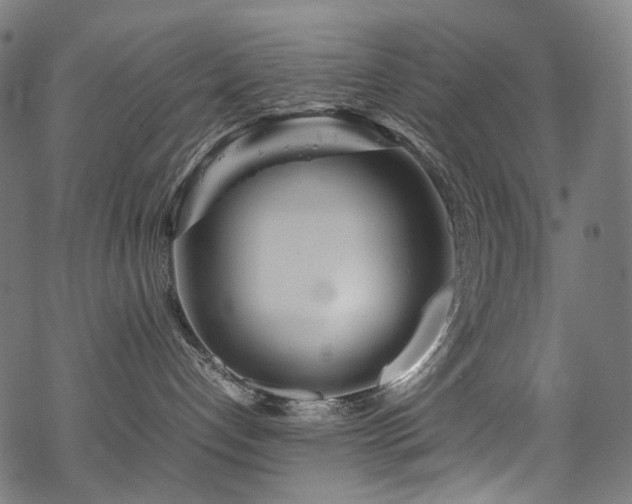 X0000070190192200605261207