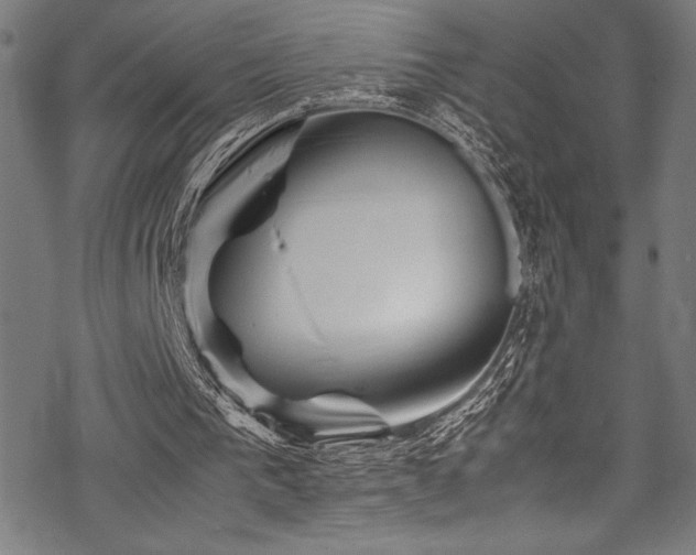 X0000070190193200605261206