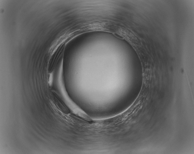 X0000070190194200605261206