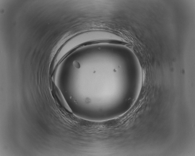 X0000070190195200605261206