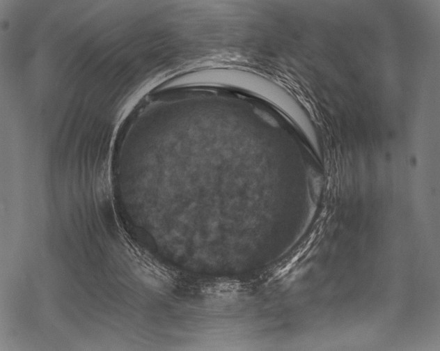 X0000070190196200605261206