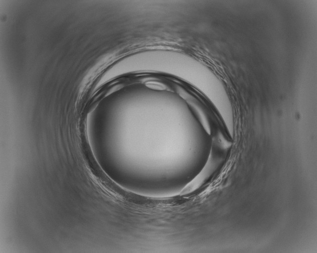 X0000070190197200605261206