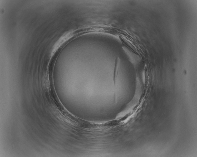 X0000070190198200605261206