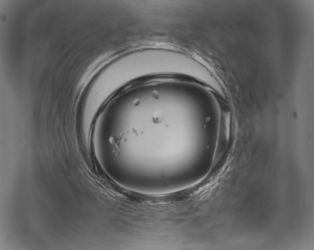 X0000070190199200605261206