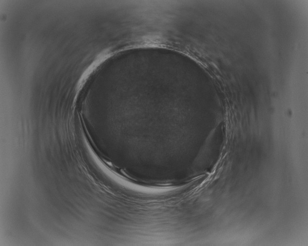 X0000070190200200605261206