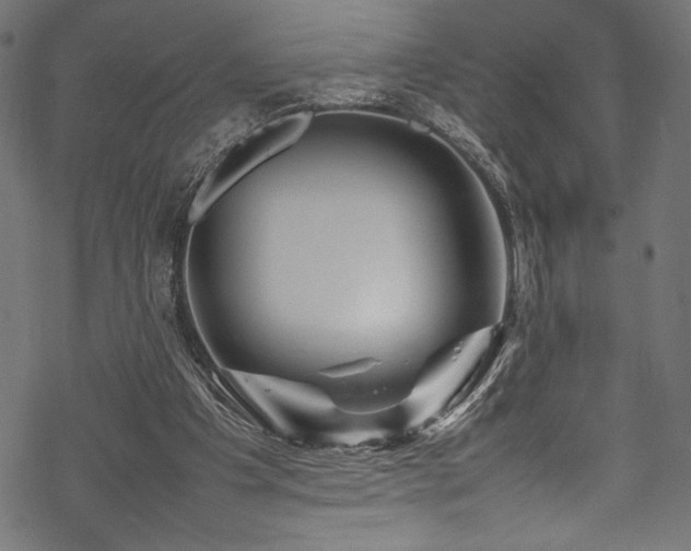 X0000070190201200605261206