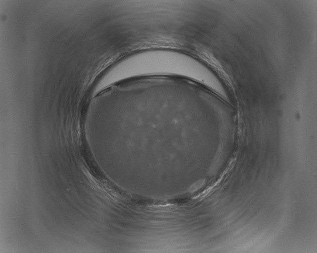 X0000070190202200605261206