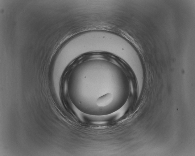 X0000070190203200605261206