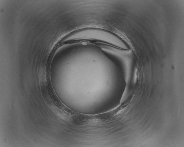 X0000070190204200605261206