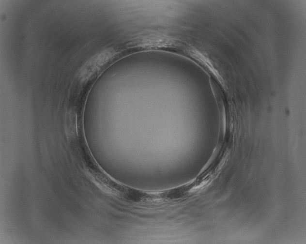 X0000070190205200605261206