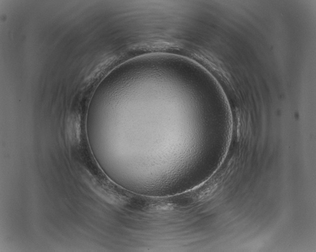 X0000070190206200605261206