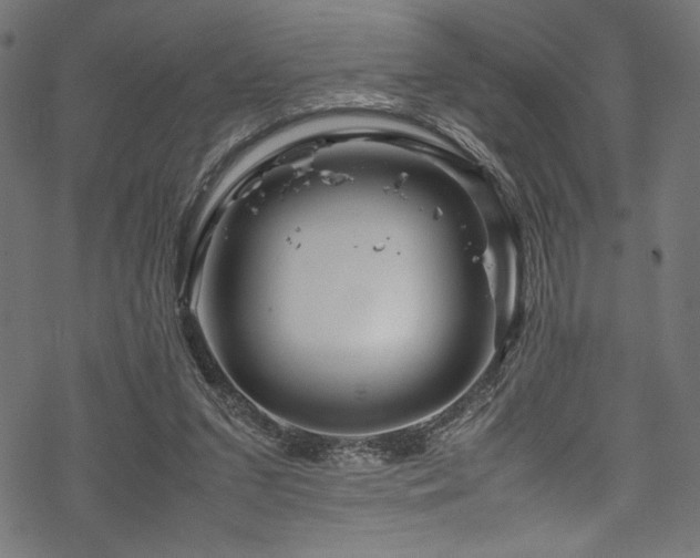 X0000070190207200605261206