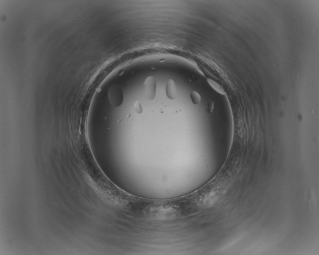 X0000070190208200605261206