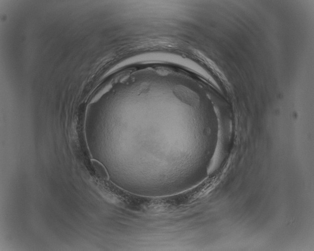 X0000070190209200605261206