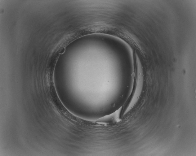 X0000070190210200605261206