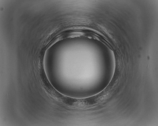 X0000070190211200605261206