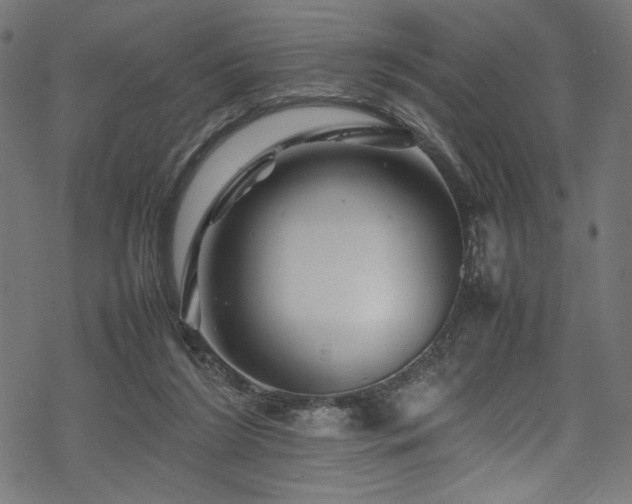 X0000070190212200605261206