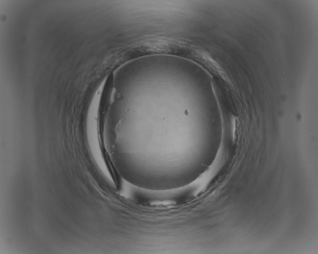 X0000070190213200605261206