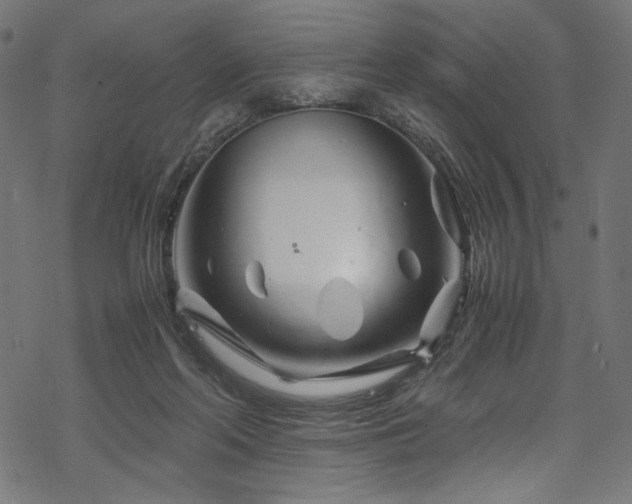 X0000070190214200605261206