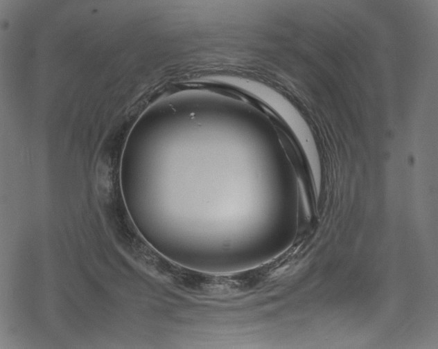 X0000070190215200605261206