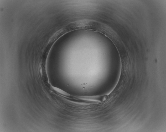 X0000070190216200605261206