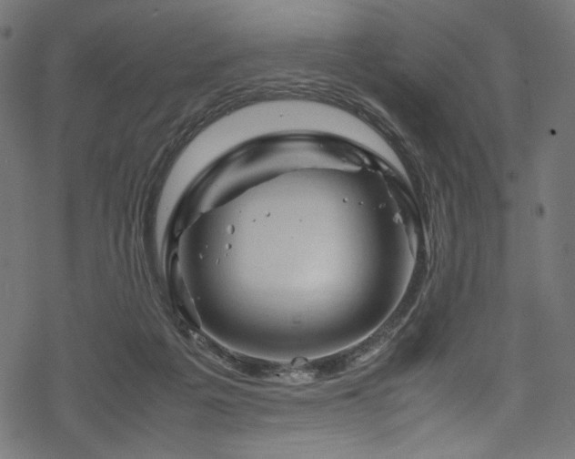 X0000070190217200605261206