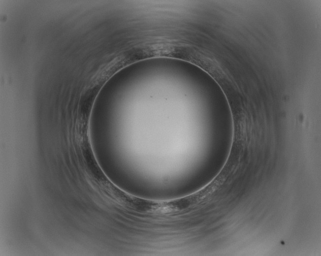 X0000070190218200605261206