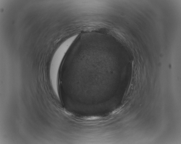 X0000070190219200605261206