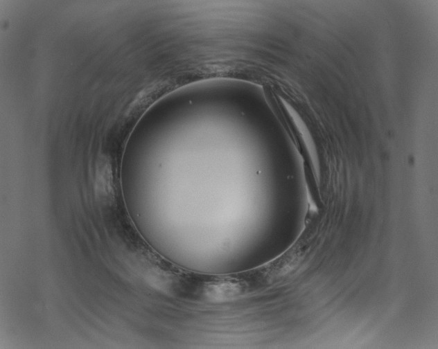 X0000070190220200605261206